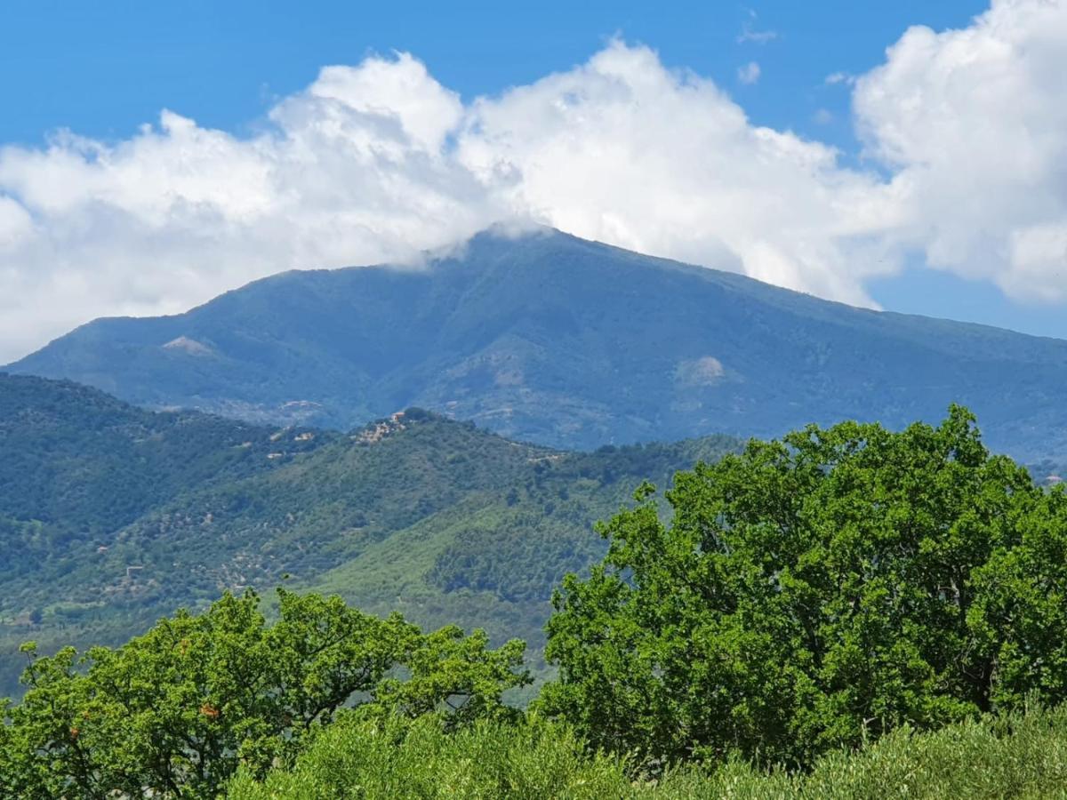 Colle Del Mirto Villa Castelnuovo Cilento Exteriör bild